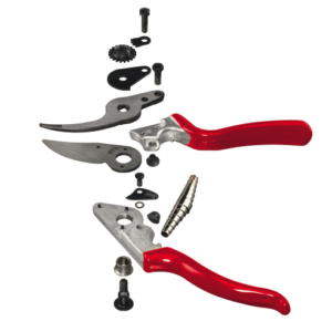 Pruning