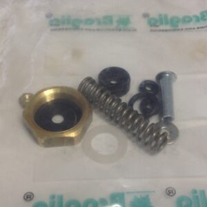 Braglia Repair Kit
