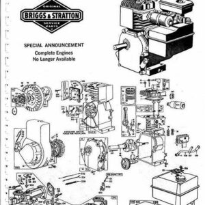 Briggs and Stratton Parts